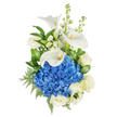 Presented vertically against a clean white background, this bouquet reads as a study in serene contrast: a dense, rounded crown of deep blue hydrangea anchors the lower centre, each tiny floret packed to create a plush, almost cloud-like texture. Above and around that electric blue mass three sculptural white calla lilies rise in elegant trumpets, their smooth, waxy petals curling to reveal the slender yellow spadixes at their hearts. Soft, creamy white roses are tucked through the composition, their layered petals unfolding with a classic romantic softness, while tall spikes of white stock add an airy verticality and a delicate clove-like scent when the bouquet is close enough to breathe in. The arrangement is framed by lush green foliage - broad glossy leaves that give a deep, almost emerald contrast and feathery leatherleaf fern that threads fine texture through the blooms. Lighting is soft and natural, the whites glowing with a gentle warmth while the blues remain crisp, creating a feeling of cool morning air and quiet assurance. The overall mood is dignified and comforting, suitable for moments of remembrance, anniversaries, or to offer composed admiration. A tasteful florist's hand is evident in the balanced proportions and open lines, a design that reads both modern and timeless. Delivered locally in Canonbury and neighbouring Islington corners, this bouquet carries a calm, considered presence that feels like a quiet promise: beauty that soothes as much as it speaks.