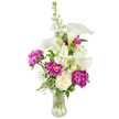 A celebratory bouquet that reads like a quiet poem: tall white calla lilies arc upwards with their satin-smooth trumpets and pale yellow spadices, anchoring a vase of joyful colour and texture. Around those sculptural forms, deep magenta peonies unfurl in luxurious rosettes - two fully open blooms carpeted with ruffled, velvet petals and a smaller tightly furled bud promising another day of perfume. A single creamy white rose nestles low, its tightly spiralled petals offering a classic counterpoint to the peonies' drama, while a vertical spray of white stock (or larkspur-like florets) lifts the eye and gives the arrangement an airy, elongated silhouette. Wisps of baby's breath (Gypsophila) float through the composition like summer clouds, softening edges and adding delicate points of light. Lush green foliage - from slender fern-like fronds to broader glossy leaves - frames every bloom and peeks between stems, creating depth and a natural, garden-fresh backdrop. The flowers sit in a gently curved clear glass vase; the water and visible stems lend an honest, freshly gathered quality that catches soft morning light and brightens a mantelpiece or dining table. The overall scent is a gentle harmony of cool calla, honeyed peony, and warm rose, an arrangement that quietly announces a birthday, anniversary, or heartfelt congratulations. As a local Canonbury florist might say, this blend of modern lines and romantic blooms is designed to feel both sophisticated and comforting, suited to the neighbourhood's intimate gatherings or a thoughtful same-day delivery across Canonbury and nearby Islington streets.