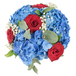 Viewed from directly above against a clean white backdrop, this round, hand-tied bouquet presents a bold, celebratory marriage of colour and texture. At its heart, dense clusters of blue hydrangea create a voluminous, cushion-like base - petals shifting from pale sky blue at the edges to deeper sapphire notes toward the centre - their fluffy, cloud-like forms catching soft top-down light and giving the arrangement a plush, tactile presence. Scattered across that blue field are several deep red roses whose velvety petals are tightly spiralled, offering dramatic, passionate focal points that read like small, rich gems against the cool hydrangea. Tiny sprays of white baby's breath (Gypsophila) punctuate the composition with delicate, starlike dots that brighten the overall palette and lend an airy, romantic softness. Muted, round eucalyptus leaves and a few crisper green sprigs sit between the flowers, their silvery-green tones introducing a calm, grounding contrast and a faint herbal scent that balances the sweeter perfume of roses. The bouquet is arranged with a precise domed silhouette - compact, lush, and handcrafted - conveying a mood of quiet celebration or respectful remembrance. In Canonbury this palette often suits summer garden gatherings near Canonbury Square, Chapel Market stalls, or Remembrance events at nearby Islington greens. The image captures the florist's careful placement and textural interplay without any vase visible, emphasising form, colour and craft - a patriotic, elegant arrangement that reads as both thoughtful gift and refined centrepiece for local occasions.