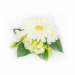A compact, refined corsage arranged on a pristine white backdrop; at its centre sits a large, fully open white Gerbera daisy whose many smooth, satiny petals unfurl like a small halo, framing a vivid yellow-green textured disc that suggests lively freshness. Nestled beneath and around this focal bloom are several creamy lisianthus (Eustoma) flowers and buds - two partially unfurled blossoms reveal soft, ruffled petals in pale ivory with the faintest wash of buttery yellow, while a handful of slim, light-green buds promise gentle opening and growth. To the upper right a petite layered white chrysanthemum or daisy peeks through, adding density and a layered silhouette. Deep emerald green leaves, broad and slightly glossy, cradle the cluster and provide a cool, verdant contrast that helps the pale petals read clearly against the background. On the right edge, tiny pearl beads are discreetly threaded among the foliage, catching the studio light and lending a whisper of formality appropriate for weddings or black-tie events. The soft, diffuse lighting highlights the velvety petal textures and the subtle gradations between creamy ivory and pure white, while the minimalist white setting keeps the focus entirely on the interplay of white and green. Imagine this piece pinned to a lapel at a Canonbury garden ceremony or tucked into a bridesmaid's wristband for a spring wedding near Canonbury Square: it reads as cool, delicate, and quietly celebratory, evoking the scent of early morning blooms and the gentle steadiness of handcrafted floral design prepared with local care for occasions that favour timeless simplicity.
