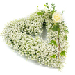 A serene, heart-shaped funeral wreath composed almost entirely of cloud-like white baby's breath (Gypsophila), each tiny blossom packed close to form a soft, luminous halo of petals. From a short distance the surface reads like fresh snowfall, a delicate cushion of pearly whites that seems to float on the page; on closer inspection you can pick out the paper-thin stems, the clustered star-shaped florets, and the way light grazes the tiny blossoms to reveal subtle shades of cream and ivory. Tucked gently into the upper right curve is a single creamy-white rose, its petals forming a classic spiralled cup that offers a quiet, dignified focal point. The rose's satin texture contrasts with the airy gypsophila, and the faint, powdery scent of the flower suggests something soft and consoling rather than sweetly perfumed. Dark glossy ivy leaves and slender eucalyptus-like sprigs weave through and cascade down the right side of the heart, the deep green lobed ivy and grey-green foliage providing structure, depth and a living contrast to the whiteness. The composition rests against a crisp white background so that every tiny bloom, leaf edge and shadow reads with clear definition; the lighting is soft and even, like a late morning in Canonbury when the light falls gently across Canonbury Square. As a sympathy piece this arrangement conveys purity, remembrance and calm - a respectful, understated tribute that a local florist in Canonbury might bring to a memorial service or lay at a graveside with unhurried care and craftsmanship.