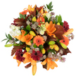 A radiant celebration of autumn captured in a tightly packed, overhead bouquet that seems to hold the warmth of a late October afternoon. Several large, fully opened orange Asiatic lilies take centre stage, their trumpet-shaped petals glowing in pumpkin and apricot tones, while numerous tightly furled green and pale-orange lily buds promise more blooms to come. Bright orange Gerbera daisies and deep burgundy-red Gerbera punctuate the composition like sunbursts and hearth embers, their ray-like petals forming cheerful, circular faces around darker centres. Soft, creamy-white lisianthus with ruffled, layered petals peek out between the bolder blooms, offering gentle relief and a whisper of light, while delicate, star-shaped clusters of purple-grey Astrantia provide an airy, textured counterpoint that reads like spun lace across the surface. Interspersed throughout are broad, lobed leaves in rich reddish-brown and chestnut-oak-like foliage that roots the arrangement firmly in the season-and glossy green leaves and slender stems that give structure and a fresh contrast. The arrangement is brightly lit against a pure white background so each hue pops with clarity, and the tight, rounded silhouette conveys abundance and careful craftsmanship. Running beneath the visual description is an imagined scent of warm, late-year petals and fallen leaves, as if a Canonbury square walk at dusk has been gathered into a hand-tied gift. Suitable for Thanksgiving tables, autumn décor, or a heartfelt seasonal present, this bouquet balances rustic charm with polished florist technique, inviting the receiver to feel the comforting, harvest-toned embrace of the season.