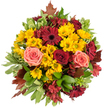 Seen from a soft top-down angle, this hand-tied autumn bouquet feels like a miniature harvest laid out on a blank white stage. The composition is dense and circular, every stem placed to create a warm, embracing dome of colour: bright golden-yellow button chrysanthemums form a sunny, textured carpet at the centre, their tiny petals catching a soft morning light and giving the arrangement a lively, cheerful pulse. Around and above them, flat-faced burgundy gerbera daisies and velvety deep-red roses create dramatic focal points, their darker centres and layered petals offering weight and contrast. Interspersed between these bolder blooms are roses in gentle coral-pink and peach tones, their spiralling petals unfurling with a tender, romantic softness that calms the palette. Small, star-shaped alstroemeria in cranberry and reddish-brown tuck into the gaps, adding a fine, intricate filigree of colour and delicate spokes of texture. A variety of fresh green foliage underpins the bouquet-broad glossy leaves, some with creamy variegated edges-providing a cool, structured backdrop that lets the autumn tones sing. Scattered through the outer ring are reddish-brown maple-like leaves, their lobed silhouettes nodding unmistakably to the season and lending a rustic, woodland note. The overall scent is faintly sweet with a green, garden-like lift; the tactile contrast between velvety rose petals, springy chrysanthemum clusters, and smooth leaves is immediately apparent. As a Canonbury-season offering, this piece reads as an ideal table centre or heartfelt gift for a neighbour on Essex Road or a cosy gathering near Canonbury Square-an arrangement that feels both expertly composed and quietly familiar to local streets and parks.