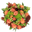 Seen from directly above against a clean white backdrop, this autumnal bouquet reads like a small, comforting landscape of harvest colours. Large, fully opened roses take the eye first, their petals folding from a warm, sunlit peach at the centre to deeper coral and orange tones at the edges, some outer petals carrying a soft reddish-rust wash that echoes fallen leaves. Interspersed between these classic blooms are tight, rounded clusters of Hypericum berries-some a vivid lime-green that almost glows, others a soft creamy-yellow-that punctuate the composition with glossy, bead-like texture. Nestled low in the spray are dense, velvety green mounds of Green Trick dianthus (or a similar moss-like filler), their playful, mossy forms adding a surprising tactile contrast to the roses' smooth velour. Dark, lobed leaves in a rustic burgundy-brown are artfully placed around the ring, their burnished tones grounding the palette and suggesting late-September walks through Canonbury Square as the trees begin to turn. Fresh, glossy green foliage fills the negative spaces, creating a lush, abundant backdrop and lending a sense of fullness and balance to the tight, circular arrangement. Under soft, diffuse light the petals pick up a gentle sheen and the shadows between blooms give depth, making the bouquet feel warm and inviting-a perfect centrepiece for an autumn table, a thoughtful Thanksgiving gift, or an intimate house-warming present. The overall effect is one of harvest comfort and careful craftsmanship: textured, layered, and quietly celebratory, a bouquet that smells faintly of fresh roses, moss, and late-summer green.