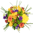 From a direct top-down perspective, this floral arrangement appears as a perfectly rounded, richly textured medley of warm and cool tones, displayed against a crisp white background that amplifies every hue. Dominating the composition are golden yellow roses and generous yellow chrysanthemums, their overlapping petals creating plush, sunlit cushions that immediately draw the eye to the centre. Interspersed with them are bold orange gerbera daisies, each with a deep brown or nearly black centre, their strong circular shapes adding a confident, graphic quality to the design. Small lime green button chrysanthemums are tucked throughout the bouquet, their tight, dome-shaped heads providing a lively, fresh contrast that feels almost spring-like. Woven into this vibrant mix are deep purple lisianthus flowers and buds, their soft, layered petals introducing shadows of cool colour and a touch of refined romance. Bright red hypericum berries dot the arrangement, their smooth, glossy surfaces catching the light like tiny beads, adding depth and a subtle seasonal nod. Long, slender blades of bear grass arc outward from the floral cluster, giving the bouquet gentle movement and a slightly whimsical edge, as if echoing the natural curves of branches in nearby Canonbury gardens. The lighting is clear and even, with minimal shadow, highlighting the careful craftsmanship and tight, abundant structure of the piece. It feels like a joyful, celebratory bouquet-ideal for birthdays, housewarmings, or thank-you gifts-just the kind of uplifting arrangement you might have delivered by a Canonbury florist to brighten a home near Highbury & Islington or along Canonbury Road.