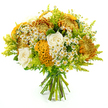 In front of a simple white backdrop, a vibrant hand-tied bouquet radiates the golden warmth of early autumn, like a fresh delivery making its way to a townhouse near Canonbury Station. The flowers are gathered into a generous dome, rich with texture and colour. Dominating the design are large chrysanthemums with spiky, layered petals in tones of amber, deep orange, and mellow gold, their full heads giving the piece a strong, sculptural presence. Nestled gently among them, creamy white roses unfold in smooth spirals, each petal soft-edged and luminous, creating a refined contrast to the more rugged mums. Threaded through the arrangement are stems of yellow-orange celosia, their velvety, undulating crests shaped like miniature coral formations, adding an intriguing, almost whimsical detail that catches the eye. Delicate white daisy-like blooms, likely matricaria, are sprinkled throughout, their tiny yellow centres bringing a bright, joyful energy that keeps the bouquet looking fresh and approachable rather than formal. Feathery plumes of lime-green solidago and assorted greenery fan out around the blooms, providing airy volume and a vivid green backdrop that sets off the warmer tones. The stems are left visible, clean and straight, bound firmly at the base with green florist's tape to show the deliberate, handcrafted nature of the piece. This bouquet feels ideal for marking seasonal moments in Canonbury-from a cosy weekend gathering just off Upper Street to a thoughtful thinking of you sent across N1-capturing the sense of natural abundance that comes with the shift from late summer into fall.