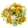On a pure white background, this elegant bouquet appears almost to float, its rich autumn palette capturing the mellow glow of the season as experienced along Canonbury's tree-lined streets. The focal point is a selection of impressive chrysanthemums, each bloom brimming with texture and colour: petals overlap in endless layers of golden yellow, amber, and deep bronze, some forming compact, spherical flowers, others twisting into intricate, cockscomb-like folds that resemble softly sculpted ridges. Around them, several creamy white roses open in smooth spirals, their velvety petals lending a sense of calm refinement and gentle romance, a quiet counterpoint to the more dramatic chrysanthemums. Fine sprays of tiny daisy-style blossoms-likely feverfew or chamomile-are scattered throughout, their bright yellow centres and pearl-white petals adding movement and a hint of light-hearted charm, as if they've been picked from a wild verge near Highbury & Islington. Feathery fronds of vivid lime-green foliage, similar to solidago, thread between the larger blooms, adding height, texture, and a refreshing, meadow-like feel that brightens the entire arrangement. The bouquet is shaped into a lush, rounded form, each stem placed with care to create depth and balance, allowing the different flower heads to nestle together while still retaining their individual character. On the white background, every subtle gradation of colour and every contour of petal and leaf is clearly defined, turning the bouquet into a striking study in seasonal beauty. This design feels ideal for sending comfort, celebrating an achievement, or bringing a warm, uplifting touch to any Canonbury living room or workspace.