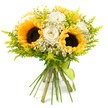 A joyful hand-tied bouquet stands out vividly against a smooth white backdrop, its colours fresh and bright as if just gathered from a sunlit patch near Canonbury's peaceful side streets. Dominating the centre are bold sunflowers, their dark, seed-rich centres ringed with wide, golden petals that radiate warmth and energy. Around them, creamy white roses nestle in clusters, their petals layered and gently curled, giving a plush, velvety texture that softens the sunflowers' strong presence. Scattered between these larger blooms are petite white, daisy-like flowers with sunny yellow centres, resembling chamomile, which sprinkle the arrangement with a sense of playfulness and detail, much like wild daisies you might notice on a walk towards Highbury & Islington. Surrounding and weaving through the bouquet is a generous amount of bright chartreuse-green filler and foliage, feathery and slightly wispy, similar to solidago, adding volume and a light, airy structure. This greenery frames the flowers, creating a rounded, full silhouette that feels both natural and expertly composed. The stems are long, cleanly cut, and gathered firmly in a hand-tied bundle, finished with a slim lime-green ribbon that wraps neatly around the base and trails delicately. The entire arrangement conveys a sense of optimism, gratitude, and everyday celebration-ideal for congratulating a new arrival, saying thank you to a host on Alwyne Road, or simply sending a radiant burst of colour and kindness to someone special in Canonbury with same-day delivery from a trusted local florist.