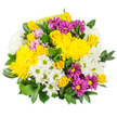 A bright, joyful bouquet fills the frame, set clearly against a white background that lets every petal and leaf shine. At its centre, full-headed yellow chrysanthemums create a glowing foundation, their plush, layered petals forming soft domes of colour that suggest warmth and optimism. Intermingled with them are petite yellow spray roses, a charming mix of button-tight buds and partially opened blooms that add both texture and a gentle, classic elegance. White daisy chrysanthemums with pale green centres are sprinkled throughout, their crisp, clean petals giving the entire arrangement an uplifting, breezy quality, reminiscent of a fresh morning walk along the quiet streets of Canonbury. To deepen the palette, the florist has threaded in clusters of magenta and rich purple daisy-like chrysanthemums, their bright yellow centres echoing the surrounding golden tones while providing a lively contrast that adds dimension and visual interest. Subtle touches of pastel pink or lavender are tucked between the bolder hues, softening transitions and creating a more nuanced, painterly blend of colour. A generous border of dark green, glossy foliage supports the blooms, the leaves curving outward to give the bouquet a full, rounded silhouette and a distinctly lush, garden-inspired feel. The greenery's cool tones anchor the composition and highlight the freshness of the flowers, as if they had just been gathered from a nearby hidden courtyard. This bouquet conveys friendly, uncomplicated happiness and a sense of thoughtful care, the kind of arrangement you might send to brighten a friend's flat near Essex Road or to bring a dash of colour to a small studio overlooking Islington's tree-lined streets. It feels ideal for birthdays, pick-me-up gifts, or simple gestures that say, you're on my mind, crafted with the quiet confidence of a local Canonbury florist.