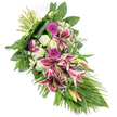Set against a crisp white background, this elongated funeral spray flows diagonally, forming a graceful teardrop shape that suggests a gentle downward motion, like a final bow of respect. The central focus is on several striking Stargazer lilies, their broad petals glowing with fuchsia-pink tones, edged smartly in white and sprinkled with tiny burgundy spots that add drama and sophistication. Some of the lilies remain in firm buds, tinged with green and pink, hinting at blooms yet to open. Clustered around them, vivid magenta gerbera daisies introduce a modern burst of colour, while tight white roses and soft, ruffled white carnations surround the lilies with a halo of quiet purity. Scattered throughout, delicate white filler flowers, reminiscent of miniature daisies, lighten the composition and create a fine, intricate texture between the larger forms. The entire arrangement is framed and extended by lush greenery: broad, dark green leaves create a strong foundation, feathery fern fronds soften the outer edges, and long, sword-like leaves sweep outward and downward, reinforcing the elegant, cascading profile. At the top left, the stems are neatly bound together, suggesting the careful, hand-crafted work of a florist used to preparing tributes for Canonbury memorials, perhaps destined for a service near Upper Street or a family gathering around Highbury & Islington. The overall mood is tender, respectful, and composed, designed to rest beautifully beside a casket or on a stand, conveying heartfelt sympathy and a loving farewell through its harmonious blend of vibrant pinks, serene whites, and abundant greenery.