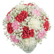 A harmonious fusion of colour, texture, and care, this bouquet effortlessly captures Canonbury's understated elegance. Plush carnations in radiant red, soft blush pink, and creamy white compose the lush centre, each petal forming delicate ruffles and subtle curls reminiscent of ribbon or lace. Baby's breath veils the arrangement with a misty lightness, lending a dreamy aura reminiscent of crisp spring mornings near Canonbury's Regent's Canal. The rounded form is carefully composed, the density of blooms softened by interspersed gypsophila that highlights every central blossom. Enclosed in a clean, clear glass vase, only the sturdy base is visible, reinforcing the bouquet's sense of poise and fullness. The overall mood is one of affectionate celebration-warm, welcoming, and serene. Perfect for birthdays, anniversaries, or to brighten a loved one's home, this arrangement reflects the fresh local spirit of Canonbury and showcases the artistry that defines its florists, available for swift delivery to homes and gatherings throughout the area.