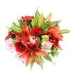 Seen from a gentle overhead angle against a crisp white background, this luxuriant hand-tied bouquet settles into a full, rounded silhouette that feels both celebratory and intimate. At its heart several large Asiatic lilies in a bold orange-red tone command the gaze; some blooms are fully open with recurved, speckled petals and dark anthers, while others remain tightly furled, promising the slow reveal of scent. Deep crimson Gerbera daisies punctuate the composition with their radiating petals and almost-black centres, offering a textured counterpoint to the smooth, velvety blush roses tucked throughout. The roses range from close-quartered buds to looser, romantic blooms, their soft pinks cooling the intensity of the fiery lilies and gerberas. Small clusters of glossy red hypericum berries catch the light like tiny ornaments, their waxy surfaces contrasting with the papery lilies and silky rose petals. A generous mix of foliage - broad solid green leaves, slender pointed lily foliage, and a few variegated leaves with pale streaks - frames and lifts the flowers, adding depth and a natural, garden-fresh freshness. The light is bright but soft, highlighting petal textures and the subtle shadows between layered blooms; if you were close enough you would notice a sweet, slightly spicy perfume where lily and rose notes mingle. This arrangement reads as joyful and warm, ideal for birthdays, anniversaries or to brighten a Canonbury flat near Canonbury Square or a cottage along New River Walk, and shows the considered craftsmanship of a local florist shaping colour, scent and form into a memorable gift.