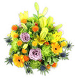 A lush, mounded bouquet set against a clean white background, described as if I were handing it to you across a kitchen table in Canonbury on a soft morning. The composition is dominated by vibrant, sunlit yellows and warm oranges, balanced by cool lavender and unexpected blue-grey accents. Several yellow Asiatic lilies reach upwards, some petals fully unfurled to reveal freckled throats and delicate stamens, while others remain elegant chartreuse-yellow buds that lend height and a feeling of promise. Scattered between them are large, cheerful orange Gerbera daisies with flat, radiating petals and darker central discs that catch the eye like little suns. Soft lavender-purple roses are tucked into the heart of the arrangement, their spiral petals offering a tender, romantic contrast and a faint, powdery scent that breathes through the bouquet. Lime-green button chrysanthemums create a ruffled, cushion-like volume, filling gaps with a mossy texture and vibrant freshness. Tiny spherical orange and golden-yellow accent blooms - reminiscent of billy buttons or small spiky pom-poms - add playful pops of colour and a lively, almost confetti-like energy. Blue-grey sea thistles (Eryngium) push out from the lower edges with their spiky, architectural bracts, introducing a cool, textural counterpoint to the warm palette. A variety of glossy and matte greens-broad lily leaves, rounded filler foliage and delicate tendrils-wrap the blooms together and ground the design. The overall effect is celebratory yet refined: a bouquet that reads as joyful and comforting, suitable for birthdays, a bright get-well gift, or an uplifting table centerpiece in a Canonbury flat near Canonbury Square.