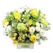 A cheerful, garden-fresh bouquet in a contemporary square glass vase is captured against a bright white background, its mix of yellow, white, and green flowers radiating the easy elegance you often see in Canonbury homes and cafes. At the centre, several rich yellow roses open in layered spirals, surrounded by smaller yellow spray roses that tuck in between other blooms, giving the arrangement depth and a bountiful, gathered feel. White pompom chrysanthemums create fluffy, rounded clusters, each bloom densely filled with petals that soften the silhouette and catch specks of light. Among them are bright lime green button chrysanthemums, neat and spherical, alongside larger pale green, ruffled flowers resembling frilled carnations or specialist green mums, bringing a crisp, modern touch to the design. Delicate, star-shaped white filler flowers are sprinkled throughout, so the eye moves gently from one bloom to the next, as if following a winding path through a local Canonbury garden. Below the flowers, abundant foliage in various shades of green - from broad, variegated leaves with creamy edging to darker, slender sprigs - fills out the base and frames the brighter colours with a natural, leafy backdrop. The clear glass vase reveals the aligned stems and is cinched around the middle with a textured, woven band of natural material, over which sits a lime green ribbon that echoes the zesty tones of the button mums. This interplay of smooth glass, rustic fibre, and soft petals creates a tactile, inviting look, ideal as a thoughtful thank-you gift, a fresh accent for a hallway console table, or a joyful centerpiece for an intimate brunch off Canonbury Square.