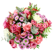 The image shows a perfectly rounded bouquet photographed from above, each flower clearly displayed against a bright white background, giving the impression of a carefully styled piece in a Canonbury flower studio. At the centre sit several generous pink roses, their tones ranging from deep fuchsia to gentle blush, with some outer petals fading to a creamy edge that catches the light and adds a soft, romantic glow. Around them, layers of peach-pink carnations unfurl in ruffled, almost feathery petals, bringing depth and a plush texture that feels cosy and inviting, like a warm gesture on a quiet evening near Canonbury Square. Threaded through the design are clusters of daisy-like chrysanthemums in lilac and lavender, each bloom marked by a crisp lime-green centre that stands out vividly, giving the bouquet a youthful, cheerful energy. Cream and off-white multi-petalled flowers are tucked between the brighter tones, bringing calm highlights that stop the composition from becoming too heavy or saturated. Encircling the blossoms, foliage plays an important supporting role: rounded, silvery eucalyptus leaves with their soft, matte finish introduce a cool contemporary touch; darker green leaves recede slightly, adding depth and framing; and narrow, reddish-pink variegated leaves add an unexpected hint of warmth, reminiscent of early autumn leaves along nearby New River Walk. The lighting is gentle and even, with no harsh shadows, so every texture and colour feels clean and fresh, as though the bouquet has just been prepared for same-day delivery to a Canonbury townhouse, perfect for birthdays, anniversaries, or simply sending a fragrant note of affection.