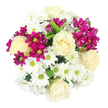 This image shows a beautifully rounded bouquet photographed from above on a clean, white background, where the flowers form a full, almost perfectly circular composition. Dominating the design are several creamy ivory roses, their petals opening in smooth, layered spirals that draw the eye into their soft centres and lend an air of classic romance. Encircling and supporting these roses, white daisy-like chrysanthemums spread their delicately pointed petals outward, each bloom centred with a small, bright yellow-green disc that adds a fresh, lively highlight and subtle texture contrast. Scattered among the whites, vivid fuchsia and magenta spray chrysanthemums introduce bursts of saturated colour: some florets are fully open and star-shaped, while others are still in compact buds, creating a pleasing sense of depth and ongoing bloom. Here and there, small glimpses of rich green foliage emerge between the densely packed flowers, grounding the arrangement and hinting at the natural stems beneath the carefully composed top. The bouquet feels both joyful and composed, as if arranged for a birthday brunch in a Canonbury garden flat or to brighten a windowsill overlooking the quiet residential streets nearby. The even, soft lighting suggests a calm indoor space, perhaps a local florist's workbench where the flowers have just been finished and prepared for delivery across Canonbury and neighbouring Islington. The overall impression is one of harmony and gentle celebration, a versatile design that could express congratulations, gratitude, or simply a wish to bring a moment of beauty into an ordinary day.