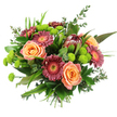 Against a pure white backdrop, this vibrant hand-tied bouquet stands out with a painterly mix of warm tones and fresh greens, much like a colourful accent in a Canonbury sitting room. At its heart, fully open roses in soft peach and apricot shades reveal layers of delicately curling petals, creating a sense of gentle romance and thoughtful celebration. Around them, Gerbera daisies in deep magenta and dusky rose hues offer a lively counterpoint, their velvety petals radiating from bright, sunlit centres in gold and orange that bring a cheerful glow. Near the upper centre of the arrangement, a single protea commands attention, its tapering, conical form and overlapping, reddish-maroon bracts giving the bouquet a distinctive, sculptural touch that feels both exotic and contemporary. Threaded throughout are compact domes of lime-green button chrysanthemums, their tightly packed petals forming playful spheres of colour that brighten the whole composition, reminiscent of the fresh greens in Canonbury's hidden gardens and courtyards. Encasing the blooms is a generous sweep of foliage: broad, glossy leaves ground the design, slender, arching strands add movement, and eucalyptus sprigs with their cool, silvery-green tones introduce a sense of airy lightness and subtle fragrance. The stems are gathered neatly and bound at the base, clearly arranged by an experienced florist so the bouquet can slip straight into a vase or be carried comfortably as a gift. Overall, the arrangement conveys abundance, sophistication, and warmth, perfect for marking birthdays, anniversaries, housewarmings, or simple moments of appreciation around Canonbury.