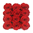 An overhead shot captures a strikingly orderly arrangement of twelve red roses, set in a compact square box that recalls the stylish, understated aesthetic often seen in Canonbury homes and cafés. The blooms are laid out in a precise 3x4 grid, their rounded heads packed closely together until they almost merge into a single, luxurious expanse of crimson. Only a slender gleam of the dark, polished box edge appears along the bottom of the image, framing the roses without drawing attention away from their velvety texture and rich colour. Each flower is at the perfect point of openness, the petals unfurling in smooth, layered spirals that draw the eye inward, where the centres deepen into gentle shadow. The lighting is soft and even, with no harsh contrasts, allowing the natural nuances of red-from bright ruby along the outer petals to deeper shades in the recessed folds-to create movement and depth across the surface of the arrangement. There are no leaves, stems, or decorative elements visible; the scene is pure, concentrated rose, as if designed to communicate love and devotion with absolute clarity. You might imagine this box resting on a windowsill overlooking the leafy streets off St Paul's Road, waiting to be opened on an anniversary evening or presented quietly as a heartfelt apology. The overall mood is one of composed passion: intense feeling contained within clean, modern lines, crafted with the eye of an experienced florist who understands both the romance of roses and the contemporary tastes of Canonbury's N1 residents.