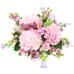 Set against a pure white background, this lush bouquet feels like a soft sigh of spring gathered into armfuls of pink. Three large, rounded heads of pale blush hydrangea form the heart of the arrangement, each one a mass of tiny petals layered so densely they resemble billowing clouds or gathered tulle. Nestled closely around them are classic pale pink roses, some fully opened into elegant spirals, others still in bud with their outer petals just beginning to loosen, creating a lovely play between fullness and restraint. Threaded through the design, clusters of tiny magenta and fuchsia waxflowers - or a similar filler flower - sparkle like confetti, their miniature, star-shaped blooms and fine stems adding lightness and texture. Subtle sprigs of smaller pink flowers echo the main tones, while several slender stems of bell-shaped blooms in soft lavender or periwinkle - reminiscent of campanula - lift gracefully from the edges, their nodding bells lending a whimsical, storybook quality. The greenery, from sturdy hydrangea leaves to finer, more delicate foliage, provides a fresh green cradle that makes the pinks and lilacs feel even more luminous. The bouquet comes across as both generous and serene, like a moment of quiet joy shared in a Canonbury townhouse overlooking the tree-lined streets near Essex Road. Thoughtfully crafted by a local florist, it would be perfect for same-day delivery to celebrate an engagement, say thank you, or simply send a gentle message of affection to someone special in Canonbury.