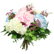 A beautifully rounded bouquet of hydrangeas is captured in clear detail against a pristine white background, every petal and leaf illuminated as though by soft north London daylight. The arrangement is dominated by generous, cloud-like heads of hydrangea in pastel pink, serene sky blue, and creamy white, arranged so the colours flow naturally into one another. Each head consists of clusters of tiny, four-petalled florets, creating a plush, almost billowy surface that looks both full and weightless. The blush-pink blooms lend a romantic, tender feeling, while the blue hydrangeas introduce a cool, calming tone, and the white clusters brighten the design with a sense of freshness and grace. Threaded between these larger mounds of colour are slim sprigs of deep magenta filler flowers, probably waxflower, their miniature blossoms adding dots of vivid contrast and a light, airy texture that keeps the bouquet from feeling heavy. Encircling the flowers is a generous layer of mixed foliage, from broad, dark green leaves with a gentle sheen to smaller, softer leaves that whistle around the edges like the greenery in Canonbury Gardens after rain. The stems are carefully gathered and tied at the base, forming a classic hand-tied shape that could be placed directly into a vase on a Canonbury dining table or mantel. The clean, white setting focuses the eye entirely on the soft pastels, rich greens, and subtle shadows. The bouquet radiates a mood of quiet joy and gentle reassurance, making it ideal for celebrations, thoughtful get-well wishes, or simply bringing a sense of calm, garden-inspired beauty into a home near Upper Street.