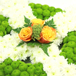 The photograph captures a dignified Irish-inspired funeral cross, composed with the kind of quiet artistry often seen from Canonbury Flowers for services across Canonbury and the surrounding streets. The base shape of the cross is formed entirely from plush white chrysanthemums, each blossom layered closely against the next so that the surface resembles a soft, snowy tapestry. This pure white background creates a serene setting for the more vibrant accents. Along the edges and at key points on the cross, compact mounds of lime-green button chrysanthemums stand out, their small, rounded flower heads giving a textured, almost moss-like effect. This fresh green edging subtly recalls the lush fields of Ireland, while also brightening the overall composition. At the heart of the cross sits a cluster of three roses in warm shades of deep orange and golden yellow. Their velvety petals spiral outward in gentle curves, displaying hints of apricot and amber as the light catches them. Surrounding the roses, clusters of small green filler and graceful, ferny leaves extend outward, softening the transition between the central focal point and the white chrysanthemum base. The flowers are lit with clear, even light, making each petal and leaf stand crisply in view, as if the tribute were laid out in a peaceful Canonbury chapel or local funeral home. The arrangement feels both proud and tender, an ideal choice for remembering a loved one with Irish heritage, offering solace and a quiet message of hope to family and friends gathered nearby.