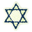 The photograph captures a beautifully structured Star of David sympathy arrangement, its form so precise that it looks almost sculpted from petals alone. Against a simple white background, the star's six points are immediately recognisable, outlined in a thick, soft border of white chrysanthemums that gives the piece a tender, cushioned feel. Within this border, the central area of the star is filled completely with white blooms, forming a serene hexagon that seems to glow from within. In deliberate contrast, the six outer arms of the star are composed of densely clustered dark blue to indigo flowers, their rich velvety tones adding depth and gravity to the tribute. At the inner base of each blue point, a small white triangle is carefully shaped, repeating around the star like a quiet rhythm of light within darkness. The flowers are tightly massed, with no visible stems or greenery, so the viewer experiences only a continuous field of petals and colour. The design clearly evokes Jewish symbolism and would be at home in a setting of remembrance-a Jewish funeral, memorial, or shiva-where the Star of David carries profound meaning. It is easy to imagine this tribute delivered by a Canonbury florist to a synagogue or family home near Upper Street or the calm residential roads between Canonbury and De Beauvoir, arriving fresh and cool, the faint earthy scent of chrysanthemums offering a subtle, living presence at a time of grief and reflection.