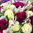 This close-up floral image shows a hand-tied bouquet so full and abundant that no background is visible, only a tapestry of petals and leaves that seems to spill towards the viewer. Creamy white roses rest at the centre, their petals unfolding in soft spirals, each bloom carrying faint hints of buttery yellow and green at the base, like the first light of morning over Canonbury's quiet streets. Surrounding them, deep magenta and plum-coloured carnations create a plush ring of colour, their many ruffled petals overlapping to form rich, velvety clusters that give the bouquet a sense of depth and warmth. Threaded gracefully throughout are white alstroemeria, their delicate, trumpet-like petals splayed open and etched with fine stripes of raspberry and burgundy, adding a gentle sense of movement and intricate detail. Glossy green foliage nestles between the blossoms, providing cool contrast and a garden-fresh feeling, as though the bouquet had just been gathered from a well-loved local plot near Canonbury Square. At the edges, a soft lavender or muted purple wrapping lightly embraces the stems, visible only in glimpses but tying the colour palette together with quiet sophistication. The lighting is gentle and even, revealing the nuanced textures of every petal without stark shadow, making the arrangement feel calm yet celebratory. This is the kind of bouquet that would lift the mood of a Canonbury kitchen table or offer comfort to a friend in nearby Islington, its combination of creamy whites, jewel-toned purples, and lush greenery expressing care, thoughtfulness, and enduring elegance.