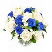 A sophisticated blue and white sympathy bouquet is displayed in a simple, clear glass vase, captured from a slightly raised angle so the full rounded shape of the arrangement is clearly visible against a pristine white background. The flowers are gathered closely together into a smooth dome, giving the impression of a unified whole rather than separate stems. At the heart of the design, large roses in ivory and creamy white open generously, their many layers of petals forming soft, cupped spirals that suggest tenderness and care. Interwoven among them are striking royal blue roses, their velvety petals rich and cool in tone, echoing the tranquil blues of late-day skies above Canonbury's peaceful gardens and side streets. The interplay of white and blue is calm yet expressive, ideal for sending sympathy where words feel insufficient. Slender stems of white freesia rise lightly between the roses, each small, bell-shaped bloom adding an airy texture and a sense of gentle movement throughout the arrangement. Tiny clusters of white gypsophila, or baby's breath, are carefully placed to soften the transitions between larger flowers, creating a delicate, almost mist-like veil across the bouquet's surface. Deep green foliage circles the lower edge and peeks discreetly among the blooms, grounding the pale palette with a natural, leafy contrast that recalls the mature trees and pocket parks around Canonbury. The cylindrical vase's ribbed base subtly catches the light, and the neatly aligned stems are visible through the water, suggesting professional preparation and freshness for local delivery. Overall, the bouquet carries an air of composed serenity and heartfelt respect, a blue and white floral tribute crafted to offer comfort, remembrance, and quiet support in times of loss.
