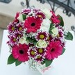 A vision of cheerful sophistication bursts forth from this Canonbury bouquet, crafted with both playfulness and refined artistry. Dominating the arrangement, hot pink gerberas unfurl their velvety petals, drawing the eye inward with irresistible vibrancy-each blossom echoing the lively sights and sounds of Canonbury's weekend market. Nestled between, bicoloured chrysanthemums form star-like clusters, their magenta and pure white petals circling brilliant yellow-green eyes, each flower bursting with the exuberance of spring. Creamy white roses, spiralling in delicate formation, add a buttery softness and gentle fragrance, their presence a refined nod to the area's historic elegance. Wisps of baby's breath, as light as lacework, seem to float across the display like a morning breeze that drifts through Canonbury Grove. Cool, deep green leaves shape the bouquet, providing structure and drawing out the freshness in every bloom. Arranged atop a bright white surface and showcased in soft, natural light, the flowers radiate happiness and warmth, while a glimpse of a handwritten note peeks out, hinting at a personal story. Everything about this arrangement-from colour to composition-makes it ideal for birthdays, anniversaries, or spontaneous celebrations within Canonbury, embodying the joyful, welcoming atmosphere for which the neighbourhood is known.