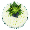 A circular funeral cushion is photographed from above against a bright, uncluttered white background, giving the tribute a peaceful, almost weightless quality. The entire round base is densely covered in pure white spray chrysanthemums, meticulously placed so that every inch is filled. Their small, multi-petalled blooms form a soft, even surface with a gentle, plush texture, and the faint greenish hue at their centres whispers of quiet life amid the calm white. The outer rim of the tribute is trimmed with a rich emerald green satin ribbon, folded into neat, scalloped pleats that trace the circumference like a gentle wave. The ribbon's subtle shine catches the light, framing the arrangement with understated elegance. Slightly above the central point of the cushion sits a vibrant spray of green flowers and foliage, providing the main focus. Here, a vivid lime-green spider chrysanthemum unfurls in all directions, its long, thin petals giving a sense of movement and energy. It is surrounded by clusters of bright green Hypericum berries and perhaps green button mums, all nestled amongst layers of dark green fern fronds and other leaves that add depth and contrast. Tucked into this greenery are two rounded heads of Scottish thistle, their spiky, architectural forms and deep blue-violet tones offering a strong visual contrast to the softness of the white base. The result is a tribute that feels both serene and meaningful, ideal for a farewell service at a local church in Canonbury or a crematorium in nearby Islington, where families wish to reflect Scottish connections, personal memories, and heartfelt condolences in a quietly beautiful floral design.