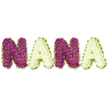 A tender, three-dimensional floral tribute spells out NANA in bold, handcrafted letters set against a clean white backdrop. Each letter is tightly formed from hundreds of small chrysanthemum-like blooms, the first N and the second N lavished in a deep magenta to plum palette with the tiniest yellow centres peeking through, producing a plush, jewel-like texture. The two A letters offer a calming contrast in dense clusters of creamy white or pale ivory chrysanthemums, their rounded petals softening the composition. Every character is edged with a bright lime-green border-either pleated satin ribbon or closely packed foliage-whose undulating line frames the flower heads and adds a crisp, uplifting note of verdancy. In soft daylight the surface reads almost sculptural: the purple blooms seem velvety to the eye while the white letters hold a cool, quiet light. A faint, clean scent of chrysanthemums lingers, subtle and respectful rather than sweet, and the craftsmanship is evident in the uniformity of each letter's height and the careful packing of individual heads so the word is perfectly legible from a distance. This arrangement reads as a traditional sympathy tribute, chosen to honour a beloved grandmother at a funeral, wake, or graveside service; it conveys love, dignity, and remembrance without excess. As an Islington florist would explain, the combination of warm plum tones and pristine ivory, balanced by the lively green edge, brings both serenity and a gentle sense of celebration to a moment of farewell, making the message both personal and timeless.