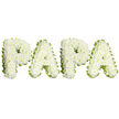 A tender, dignified funeral tribute spelling out the name PAPA in four large, uppercase letters, each letter lovingly formed from dense clusters of pristine white blooms-likely spray chrysanthemums or small carnations-set against a pure white background. From a florist's eye, the flowers create a soft, slightly domed carpet across each character; the petals are ruffled and full, lending a cushioned, tactile quality you can almost feel with your fingertips. Along the perimeter of every letter a pale, lime-green ribbon or closely clipped foliage traces a gently wavy outline, sharpening each shape while adding a whisper of fresh, herbal green. The lighting is clean and even, a soft studio glow that leaves faint, delicate shadows beneath the letters and brings out the subtle cream tones in the whites. There is a quiet, comforting scent of fresh chrysanthemums-light, powdery and slightly sweet-that would settle softly in a small chapel or wake. The arrangement is laid out in a calm, horizontal line, balanced and symmetrical, the spacing measured so the word reads clearly from the front row of a service. This style of personalised lettering is a traditional choice for commemorating a father or grandfather, conveying respect, purity, and remembrance. The overall gesture is restrained and elegant: white for peace, green for life continuing, the handwork of an experienced florist arranging each blossom to hold its place. Intended for memorial services, graveside farewells, or a chapel display, this floral lettering offers a gentle, intimate expression of grief and abiding affection for a beloved paternal figure in Canonbury and nearby Islington neighbourhoods.