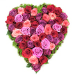Viewed from directly above, this heart-shaped tribute is composed entirely of freshly cut roses, arranged so closely that each bloom nestles into the next to form a continuous, petal-rich surface. The colour story runs from deep burgundy and wine-red to classic scarlet, through soft blush and coral pinks, up to vivid fuchsia and gentle lavender; a few plum-toned heads add depth and quiet drama. Every rose is at its prime, petals velvety and layered, some centers still gently furled while others open like tiny cups, creating a tactile mosaic that seems almost to breathe. Around the heart, a low, fine bed of dark green, moss-like foliage and delicate ferny leaves peeks out, tracing the silhouette and lending a cool, alive frame that keeps the warm tones of the roses luminous against the crisp white backdrop.

Soft studio light catches the sheen on the petals and throws subtle shadows between layers, enhancing texture and the sense of volume. The arrangement carries the quietly sacred feeling of remembrance as easily as the intimate warmth of love; it reads as a piece that could comfort at a funeral or celebrate an anniversary or Valentine's Day. There is an earthy perfume of roses present in the imagining, a faint green note from the border that suggests renewal. As a local florist I picture this finished on a workbench near Canonbury Square on a calm morning, wrapped gently for a family or a partner. The craftsmanship feels meticulous and heartfelt, an emblem of devotion and tenderness that honors memory while offering comfort and beauty.