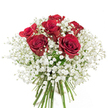 Imagine a bouquet held in gentle hands on a crisp Canonbury afternoon: six radiant crimson roses rise like beacons of affection, their petals unfurling in sumptuous, velvety whorls. Cradling them is a dreamy halo of pure white gypsophila, clouds of delicate florets that soften each edge and add a touch of magic. The fragrance is subtle-sweet rose mingling with the light freshness of baby's breath-echoing memories of local gardens in early summer. Gleaming green stems are tightly gathered below, signalling freshness and attention to detail, hinting at the expert care of a local Canonbury florist. Every element is chosen to reflect balance and meaning: the passionate reds and innocent whites speak of devotion, celebration, and enduring bonds. This bouquet embodies a timeless gesture-whether surprising a loved one, marking a milestone, or simply brightening a home nestled close to Canonbury Square. Its refined simplicity pairs romance with tradition, offering a heartfelt statement delivered straight from the community's floral heart.