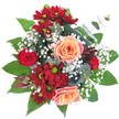 Cradled against a stark, pure white background, this hand-tied bouquet reads like a small, intimate garden captured at its most generous moment. The composition is dense and circular, every stem chosen to create a lush, abundant silhouette: two large peach-apricot roses sit at the heart, their spiralled petals unfurling with a soft blush of pink on the edges, while a tightly budded classic red rose slips shyly from beneath, adding a deeper tone. Scattered among them are deep crimson or burgundy chrysanthemums with bright lime-green centres-daisy-like discs that give the arrangement a lively, almost playful contrast. Tiny clouds of white baby's breath (Gypsophila) float through the massed blooms, softening the composition with delicate, airy texture. Broad, glossy green leaves form a dark, steady base, and silvery-green eucalyptus stems, with their rounded leaves, thread through the bouquet to add a contemporary, muted coolness. A singular, darker burgundy spiky bloom-reminiscent of a protea or exotic bud-introduces a striking sculptural point and unexpected texture. In soft daylight the colours read warm and inviting: passionate reds and burgundy, gentle peach, crisp white and verdant green. The scent is quietly floral-rosy with a green, resinous whisper from the eucalyptus. As a local florist in Canonbury might suggest, this arrangement would brighten a breakfast table on Canonbury Square or arrive as a heartfelt gift for a birthday or small celebration, radiating romance, gratitude and calm hospitality for the recipient.